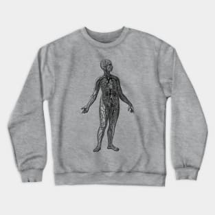 Human Vascular System Diagram Crewneck Sweatshirt